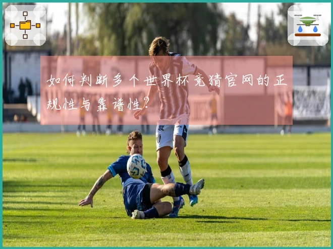 如何判断多个世界杯竞猜官网的正规性与靠谱性？