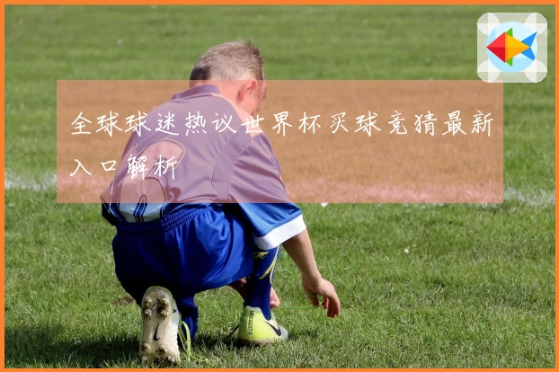 全球球迷热议世界杯买球竞猜最新入口解析