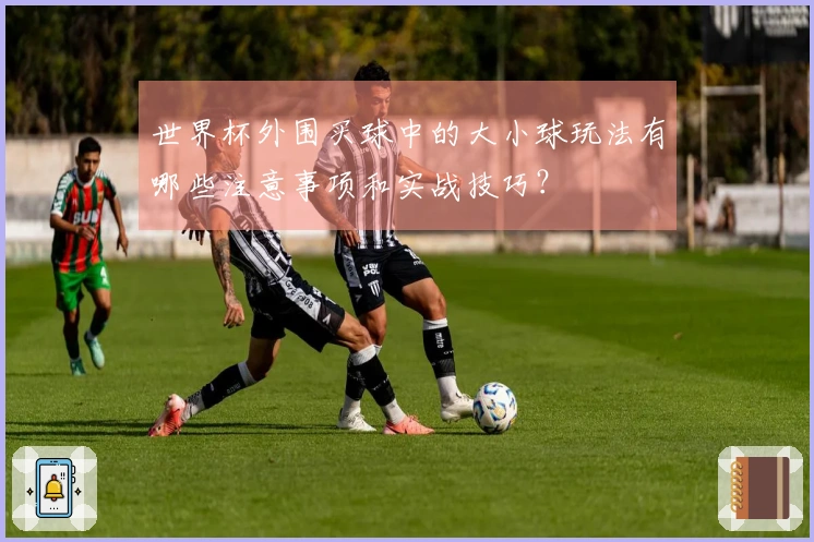 世界杯外围买球中的大小球玩法有哪些注意事项和实战技巧？