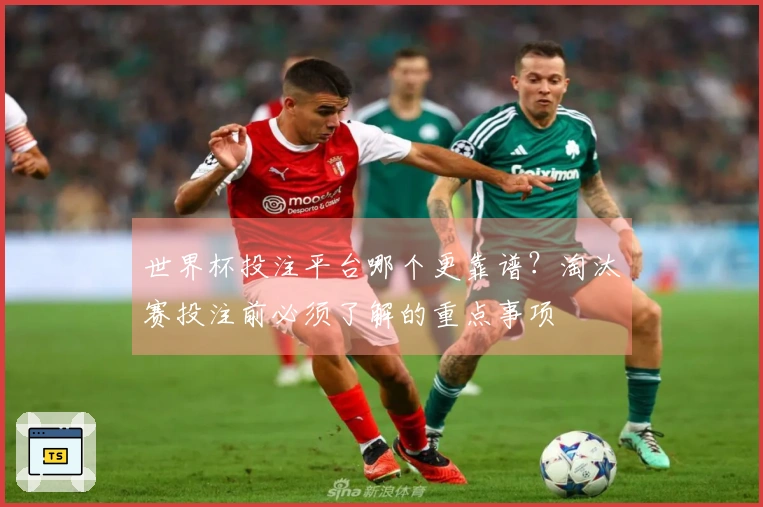 世界杯投注平台哪个更靠谱？淘汰赛投注前必须了解的重点事项