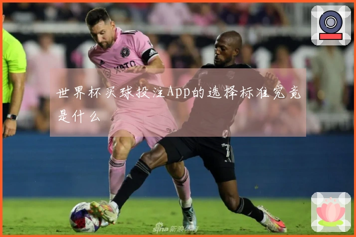 世界杯买球投注App的选择标准究竟是什么