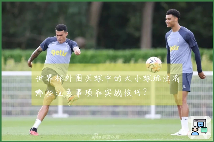 世界杯外围买球中的大小球玩法有哪些注意事项和实战技巧？