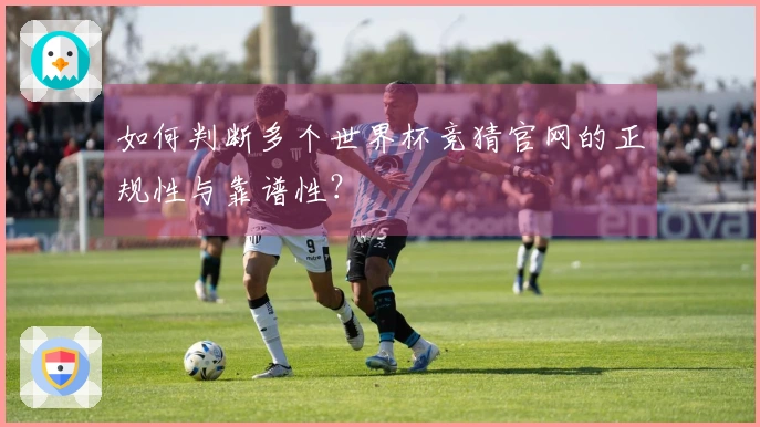 如何判断多个世界杯竞猜官网的正规性与靠谱性？