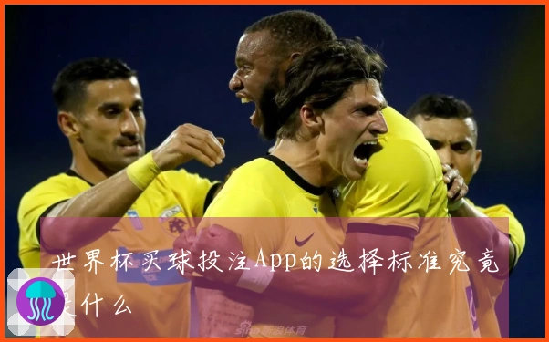 世界杯买球投注App的选择标准究竟是什么